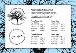 CIURMA